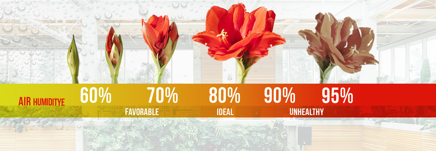 Humidity control for Flowers